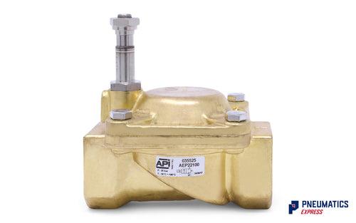 API AEP22100 Solenoid Valve for Water and Steam 1