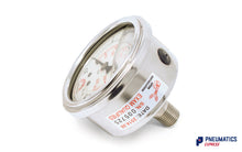 Load image into Gallery viewer, Watson Stainless Steel 25 Bar Pressure Gauge (Back Entry) 1/4" BSP